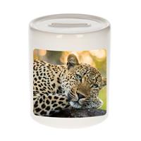 Bellatio Dieren luipaard foto spaarpot 9 cm jongens en meisjes - Cadeau spaarpotten jaguars/ luipaarden liefhebber