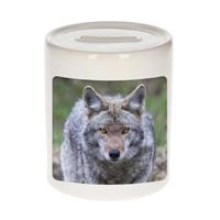 Bellatio Dieren wolf foto spaarpot 9 cm jongens en meisjes - Cadeau spaarpotten wolven liefhebber