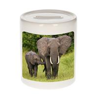 Bellatio Dieren olifant foto spaarpot 9 cm jongens en meisjes - Cadeau spaarpotten olifanten liefhebber