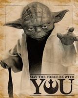 Pyramid Star Wars Classic Yoda May the Force be With You Poster 40x50cm
