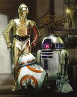 Pyramid Star Wars Episode VII Droids Poster 40x50cm