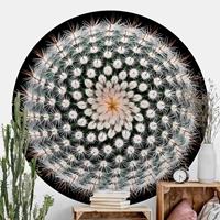 Klebefieber Runde Tapete selbstklebend Kaktusblüte