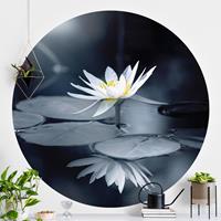 Klebefieber Runde Tapete selbstklebend Lotus Spiegelung im Wasser