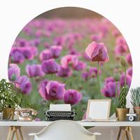 Klebefieber Runde Blumentapete selbstklebend Violette Schlafmohn Blumenwiese im Frühling