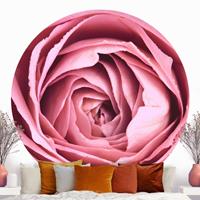 Klebefieber Runde Tapete selbstklebend Rosa Rosenblüte