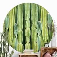 Klebefieber Runde Tapete selbstklebend Kaktus Wand