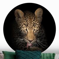 Klebefieber Runde Tapete selbstklebend Resting Leopard