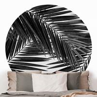 Klebefieber Runde Tapete selbstklebend Blick durch Palmenblätter schwarz weiß