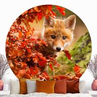 Klebefieber Runde Tapete selbstklebend Kinderzimmer Fuchs im Herbst