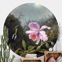 Klebefieber Runde Tapete selbstklebend Küche Martin Johnson Heade - Stillleben mit Orchidee und zwei Kolibris