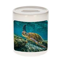 Bellatio Dieren foto spaarpot zee schildpad 9 cm - schildpadden spaarpotten jongens en meisjes -