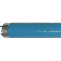 philips Leuchtstoffröhre MASTER TL-D - T8, 180 Blau - 58W (1500mm)