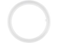 osram 4058075135482 LED EEK A+ (A++ - E) G10q Ringform 20W Neutralweiß (Ø x L) 30mm x 298mm 1St. D974631