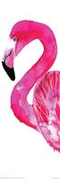 Pyramid Sofie Rolfsdotter Flamingo Poster 30,5x91,5cm