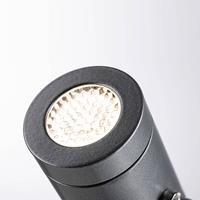 Paulmann Radix LED-Erdspießleuchte 230V, IP65