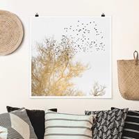 Klebefieber Poster Tiere Vogelschwarm vor goldenem Baum