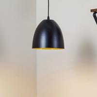 EULUNA Hanglamp Lenox, 1-lamp, zwart/goud