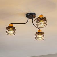 EULUNA Plafondlamp Edison, 3-lamps