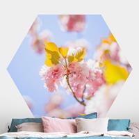 Klebefieber Hexagon Fototapete selbstklebend Farbenfrohe Kirschblüten