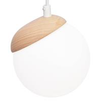 EULUNA Hanglamp Sfera 1-lamp glas/hout licht