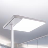 GLamOX LED-Büro-Stehleuchte Linea-F, mit Tastdimmer