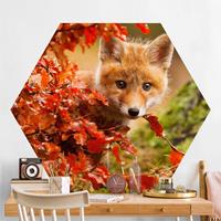 Klebefieber Hexagon Fototapete selbstklebend Fuchs im Herbst
