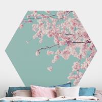 Klebefieber Hexagon Fototapete selbstklebend Japanische Kirschblüte