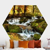 Klebefieber Hexagon Fototapete selbstklebend Wasserfall herbstlicher Wald