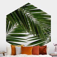 Klebefieber Hexagon Fototapete selbstklebend Blick durch grüne Palmenblätter