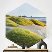 Klebefieber Hexagon Fototapete selbstklebend Dünen und Gräser am Meer