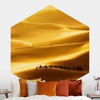 Klebefieber Hexagon Fototapete selbstklebend Golden Dunes