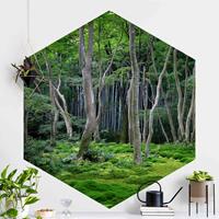 Klebefieber Hexagon Fototapete selbstklebend Japanischer Wald
