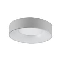 EVN R30181425 LED-plafondlamp Zilver 18 W Warmwit tot daglichtwit Geschikt voor wandmontage