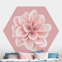 Klebefieber Hexagon Fototapete selbstklebend Dahlie auf Blush Rosa