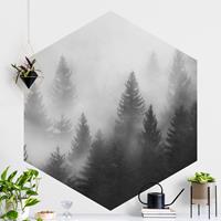 Klebefieber Hexagon Fototapete selbstklebend Nadelwald im Nebel Schwarz Weiß