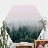 Klebefieber Hexagon Fototapete selbstklebend Wald im Nebel Dämmerung