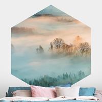 Klebefieber Hexagon Fototapete selbstklebend Nebel bei Sonnenaufgang
