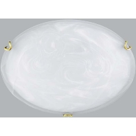 Hufnagel 592011 - Ceiling-/wall luminaire 1x46W 592011