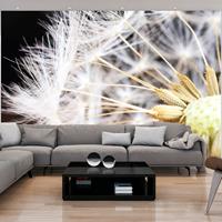 Artgeist Fluffy Dandelion Vlies Fotobehang