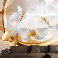 Artgeist Orchid Blossom Vlies Fotobehang