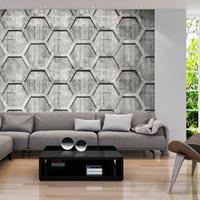 Artgeist Platinum Cubes Vlies Fotobehang