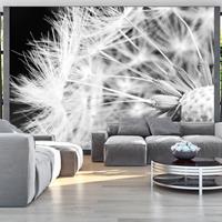 Artgeist Black and White Dandelion Vlies Fotobehang