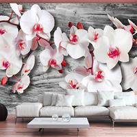 Artgeist Callous Orchids Vlies Fotobehang