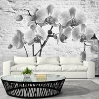 Artgeist Orchid in Shades of Gray Vlies Fotobehang