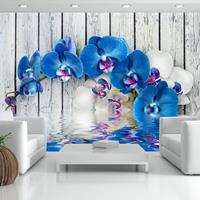 Artgeist Cobaltic Orchid Vlies Fotobehang