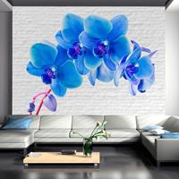 Yourdecoration.be Artgeist Blue Excitation Vlies Fotobehang