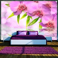 Artgeist Orchids in Lilac Colour Vlies Fotobehang