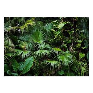 Walljar.com Walljar - Fotobehang - Sunny Jungle