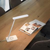 PAUL NEUHAUS Design tafellamp wit 2700-5000k incl. LED - Tina