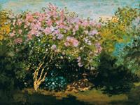 PGM Claude Monet - Blühender Flieder in der Sonne Kunstdruk 80x60cm